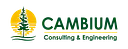 Cambium